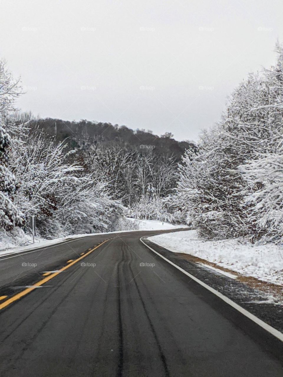 snowy landscape