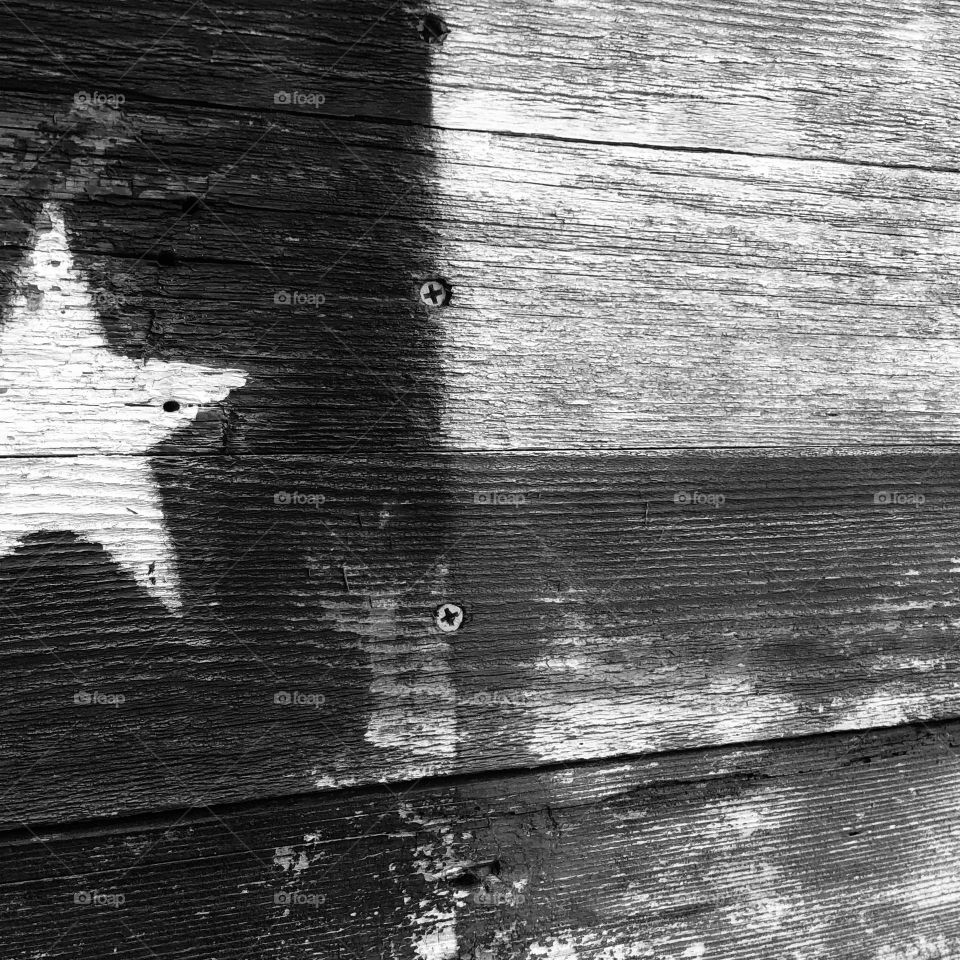 Texas flag painted on wood - left outside so it’s very weathered! Black and white version. 