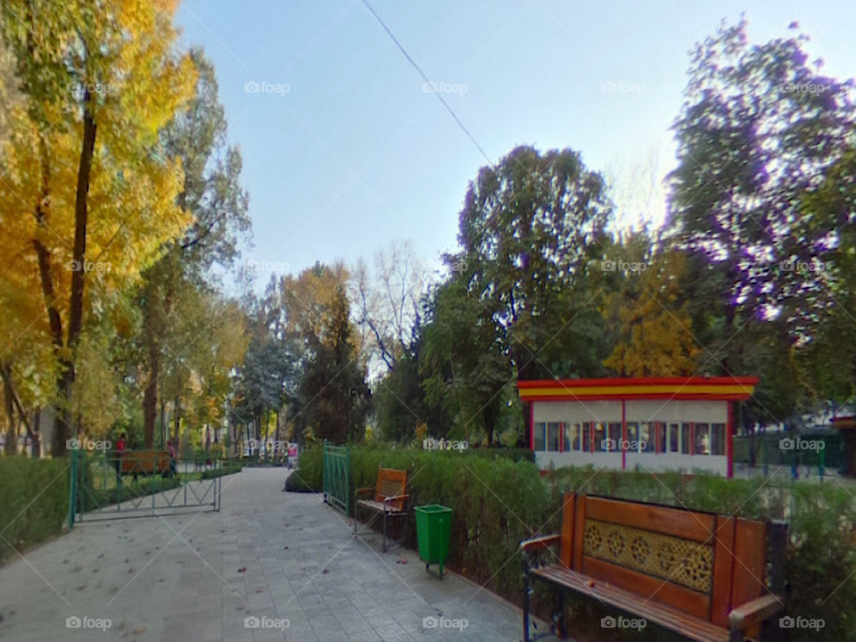 Switzerland 🇨🇭