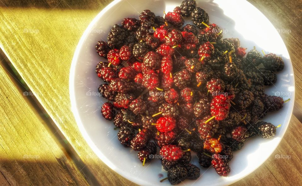 Fresh Mulberries