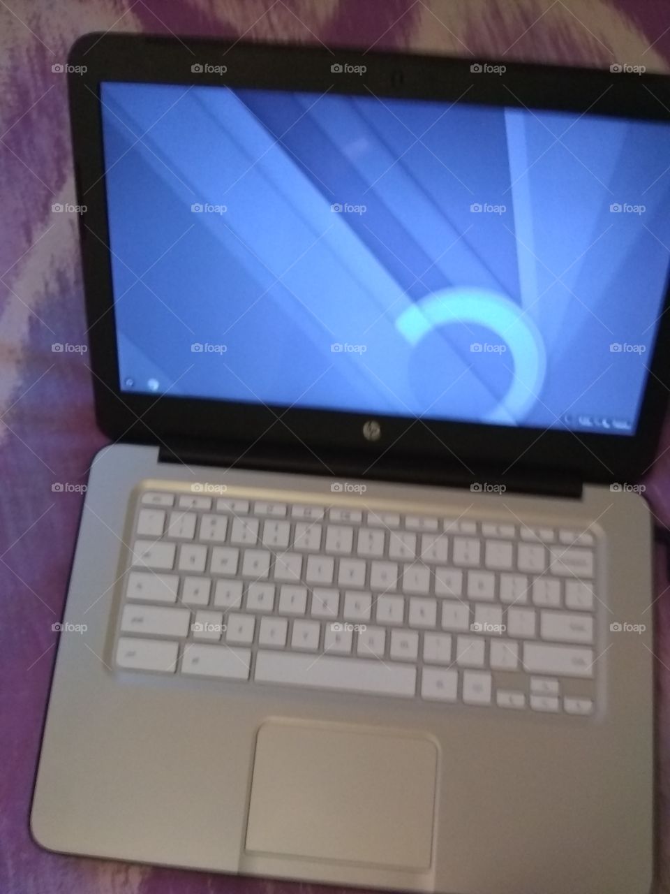 Laptop, Computer, Screen, Internet, Technology