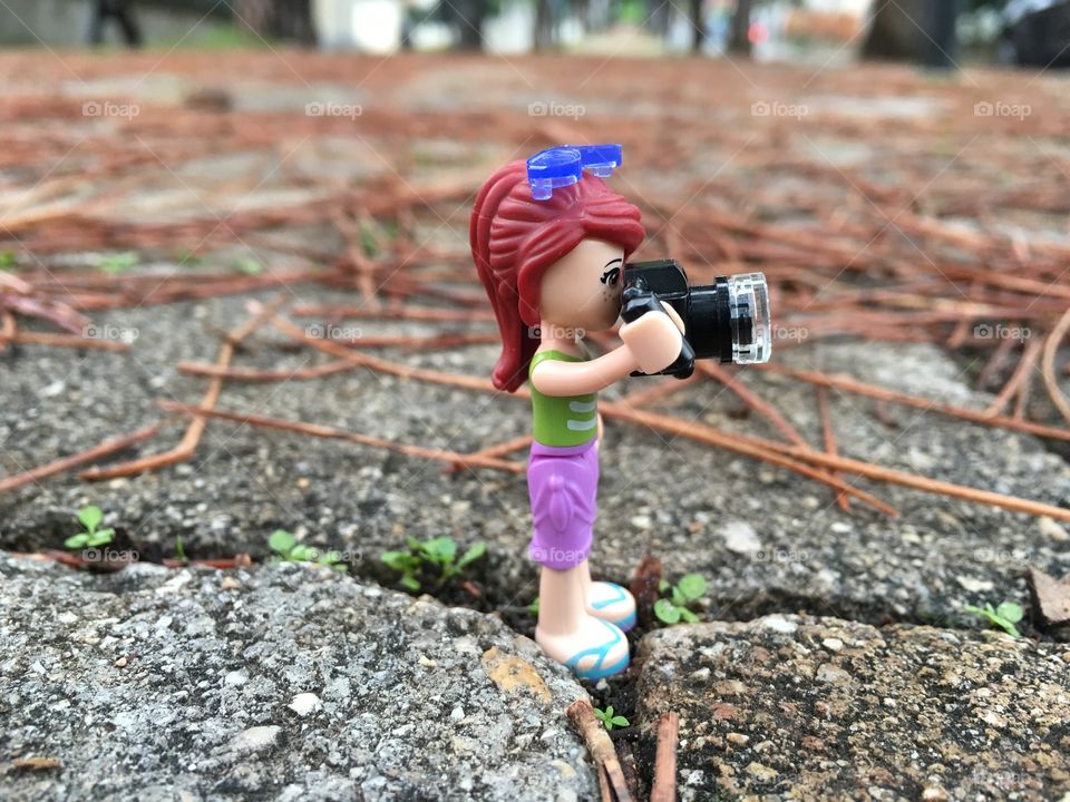 Photographer 