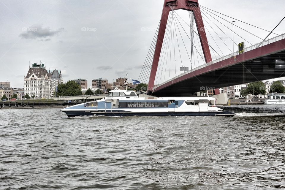 River in Rotterdam