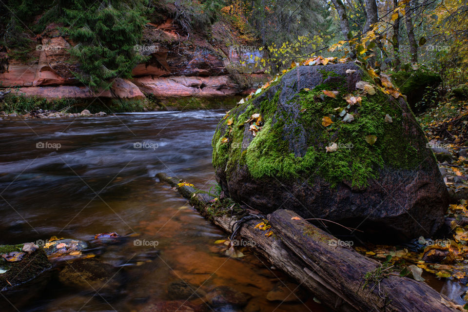 River. Stream. Rocks. Autumn vibes.