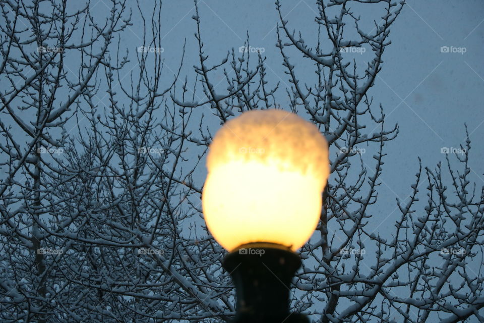 Lamppost with a snow cap against the tree and s blue sky