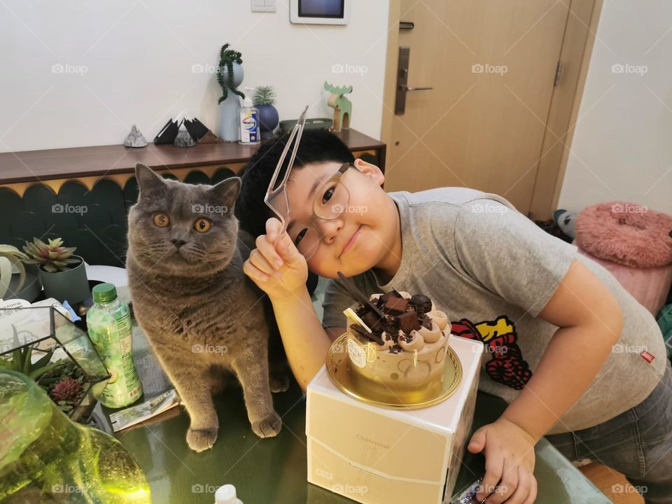 Birthday Cat Cake