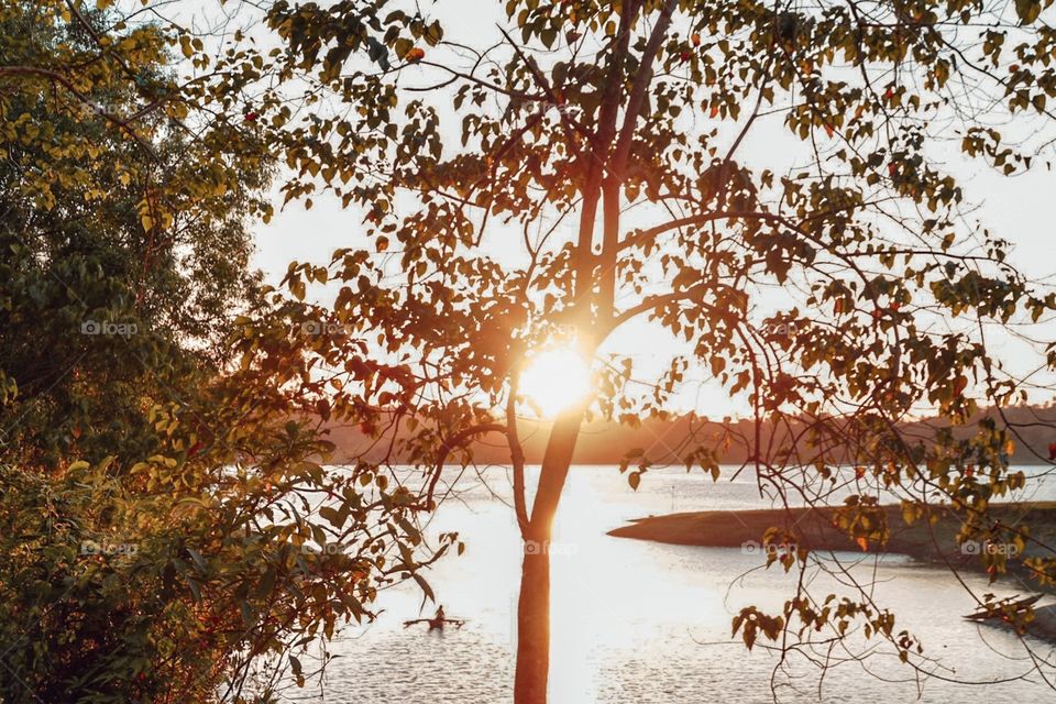 Do you ever recall that familiar feeling of euphoria when the sun shines brightly at you? It's sad and nostalgic, yet always shining and hopeful. ✨