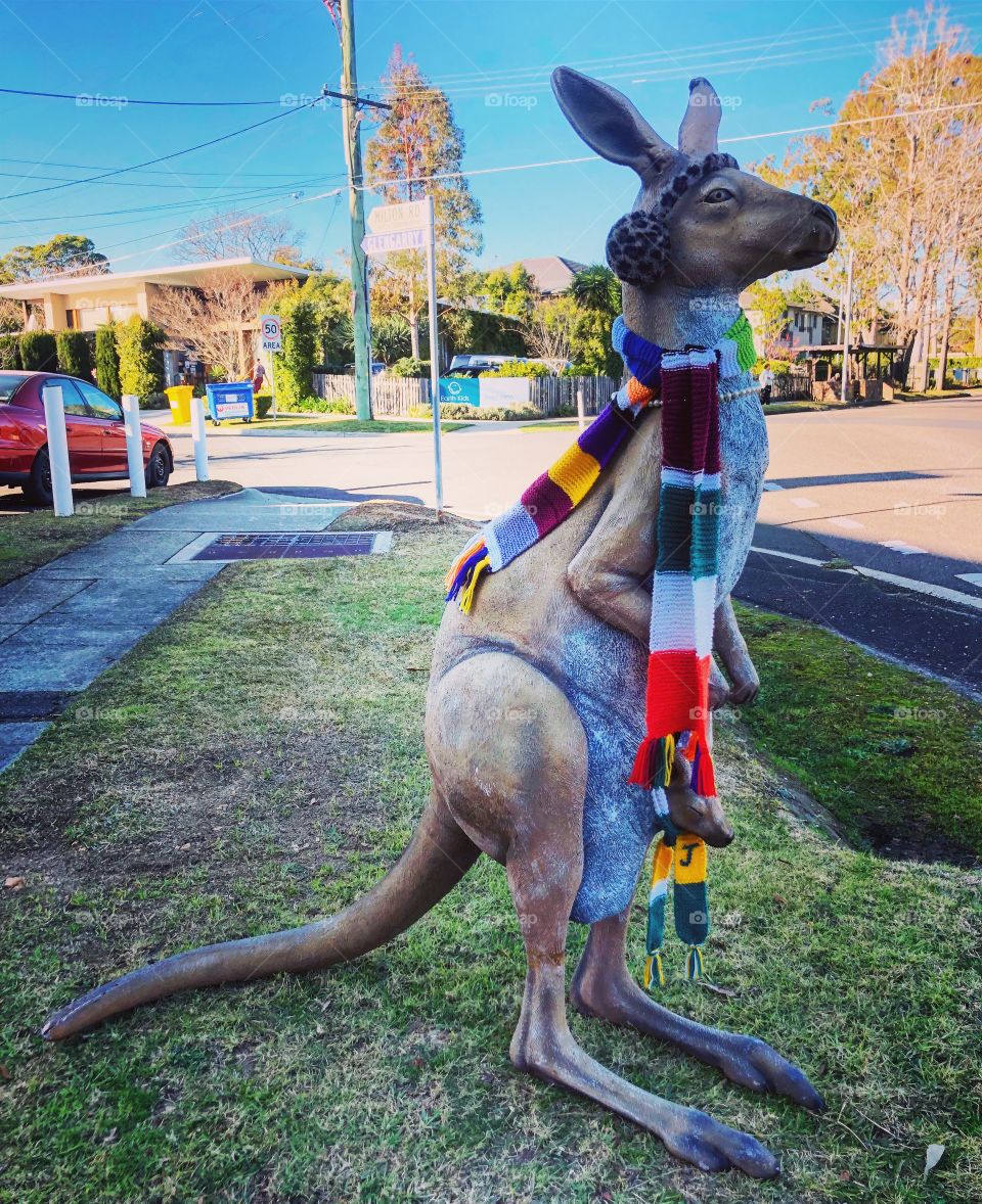 Only in Australia- kangaroo statue dressed for winter 