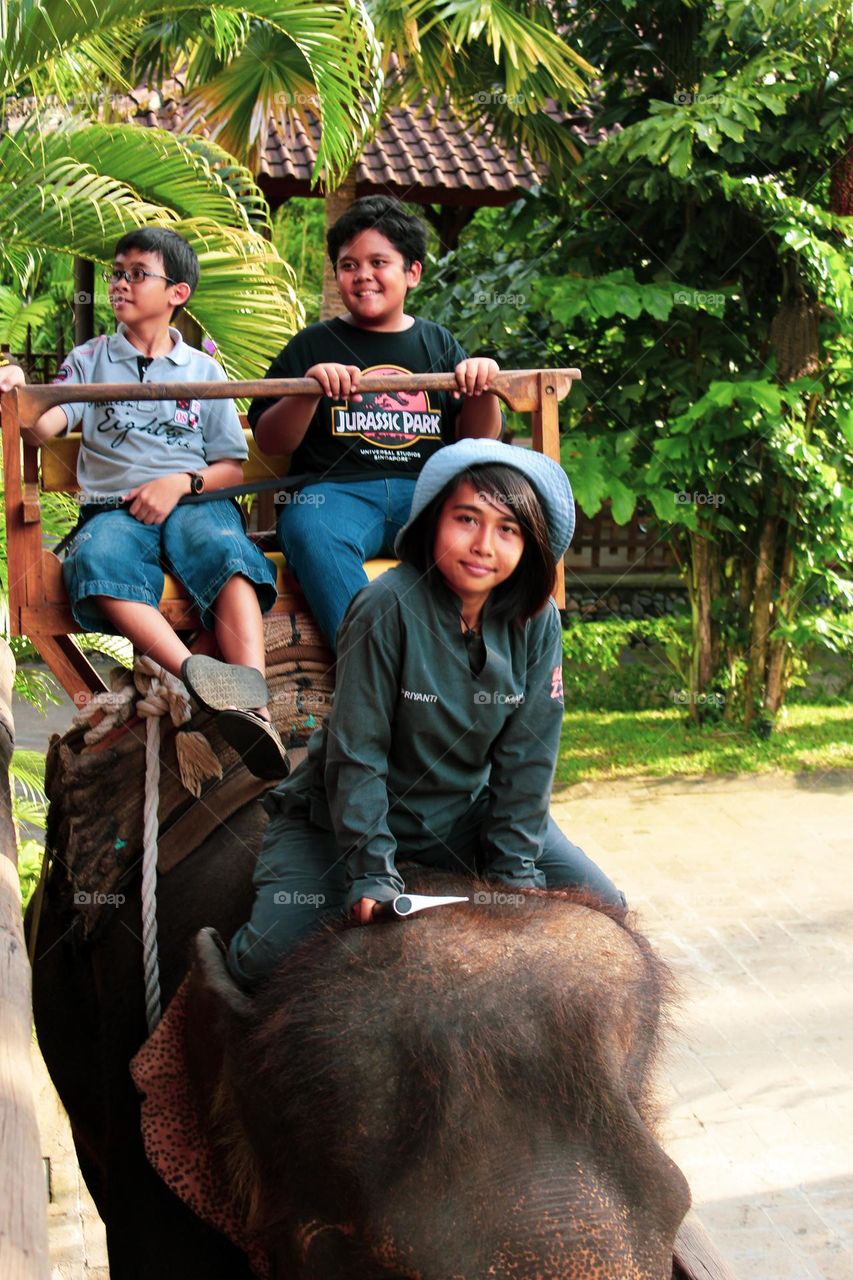 The girl who conquered the elephant. Tourist group of children riding an elephant at the bali zoo, elephant body seats for visitors on a safari to the bali zoo being ridden by a teenager.