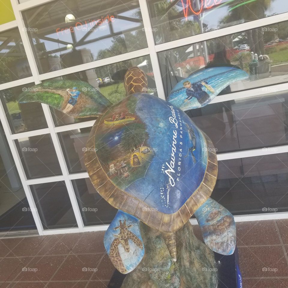 Decorative Turtle