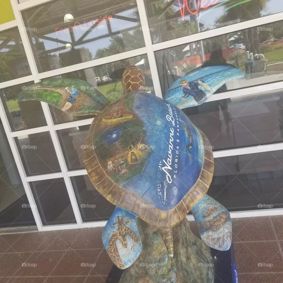 Decorative Turtle