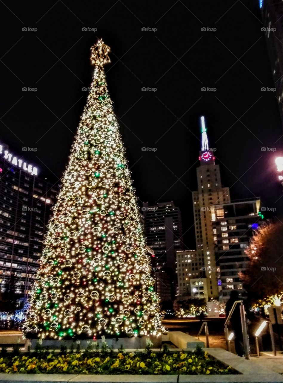 Christmas tree in the city