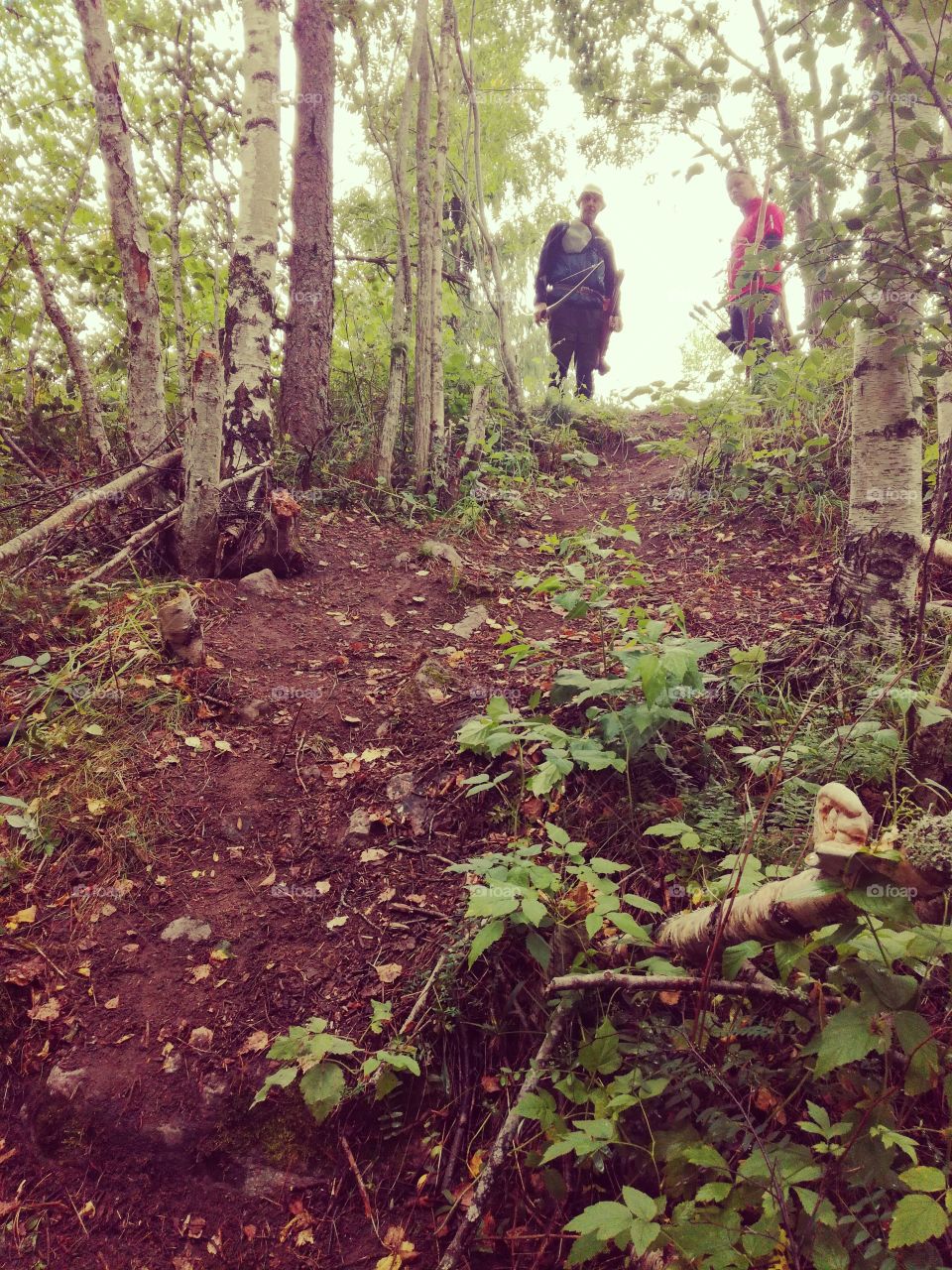 Archery in forrest. Sweden summer