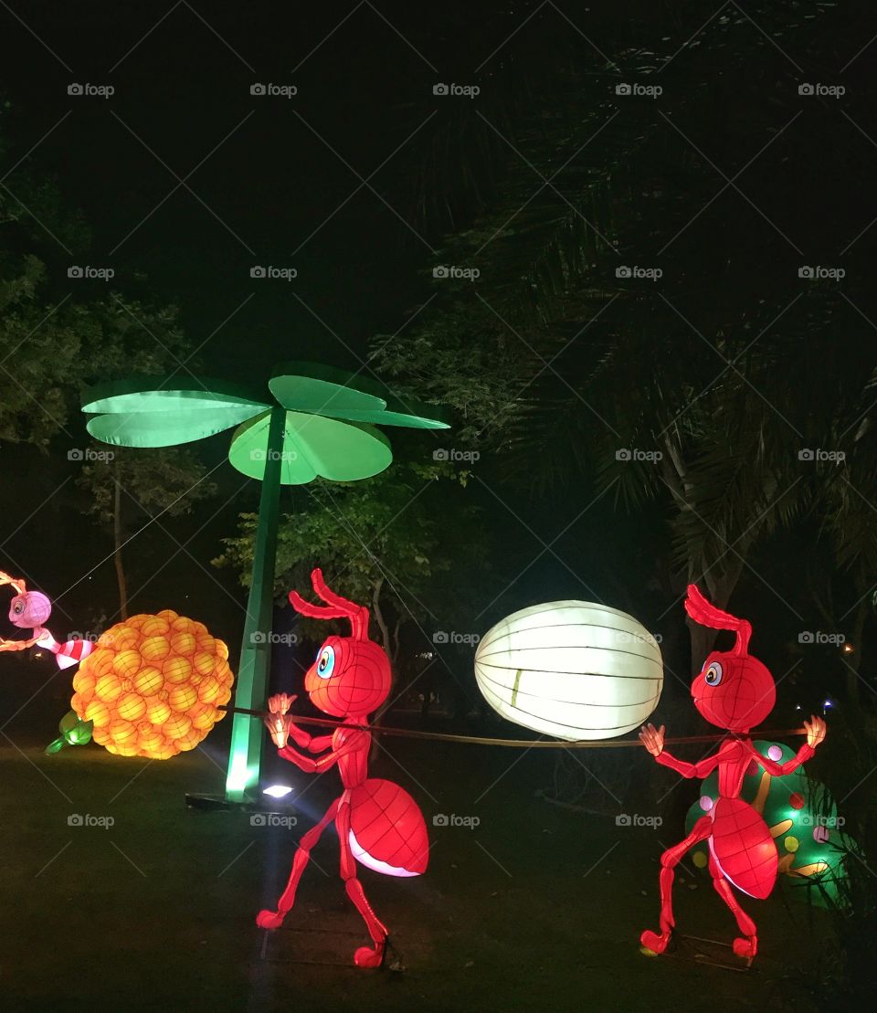 Dubai Glow Park - Glowing Ants!!