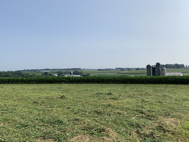 Farm