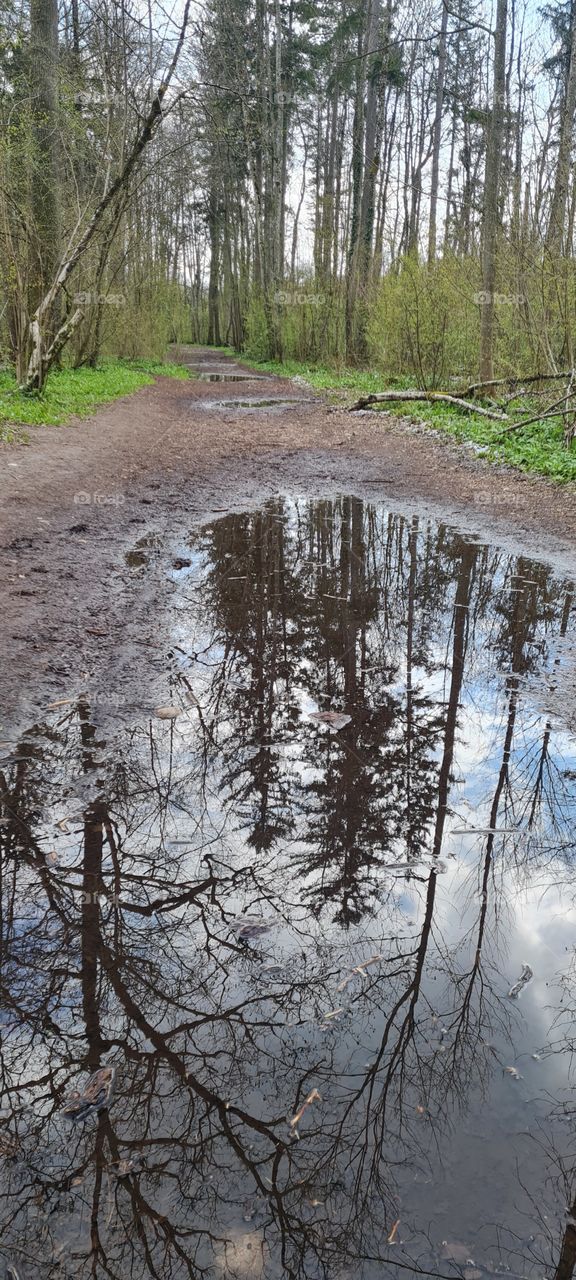 Puddles of water mirroring