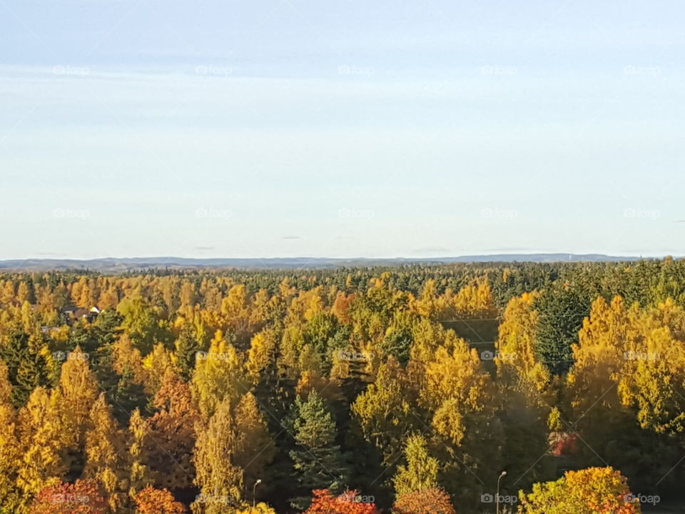 Autumn view