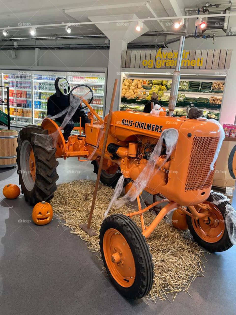 Trick or Treat 🎃🎃