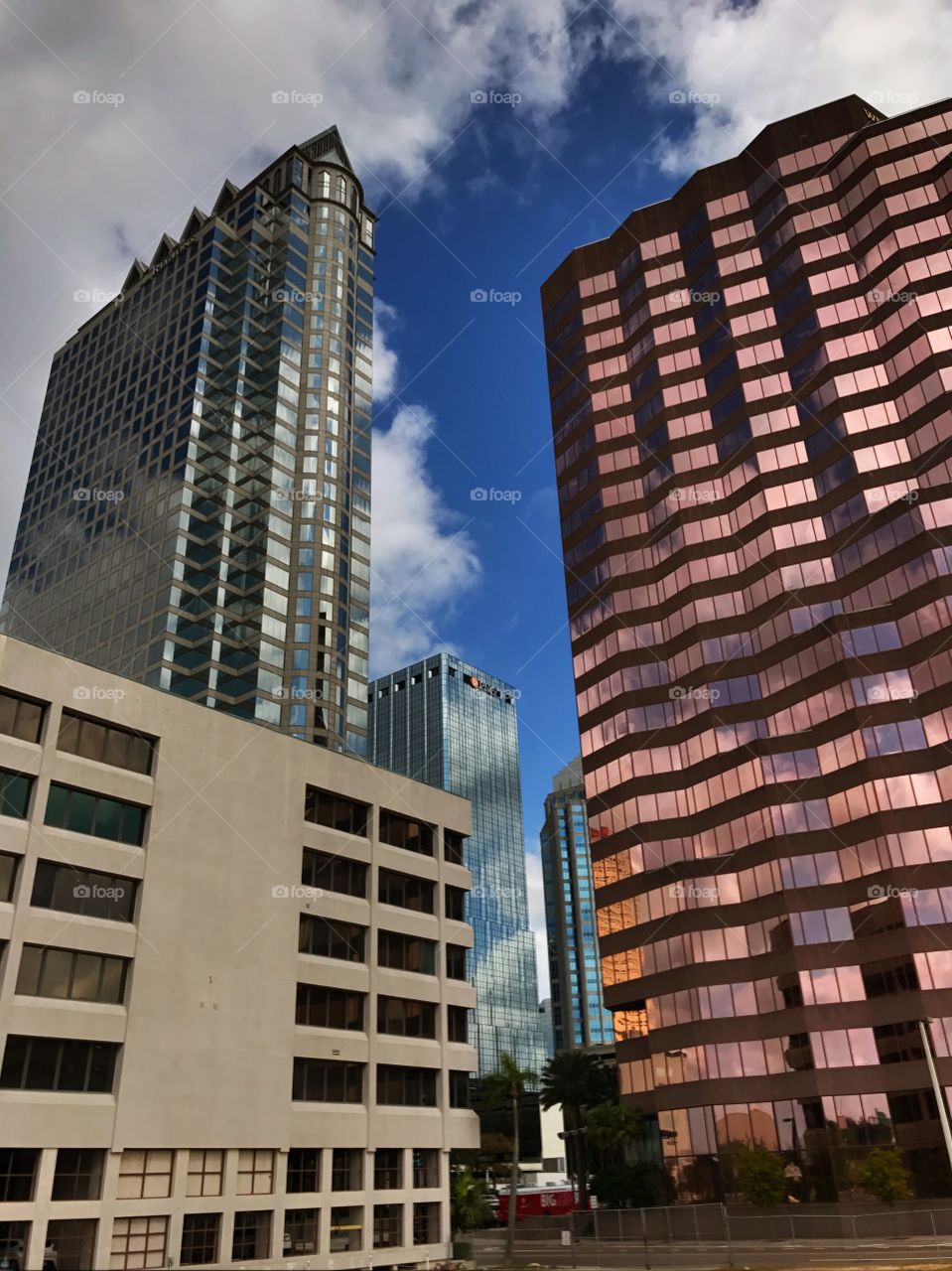 Tampa Skyline 