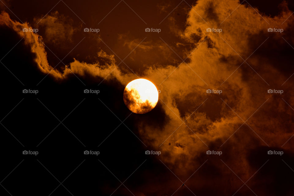 Born to chase the sunset