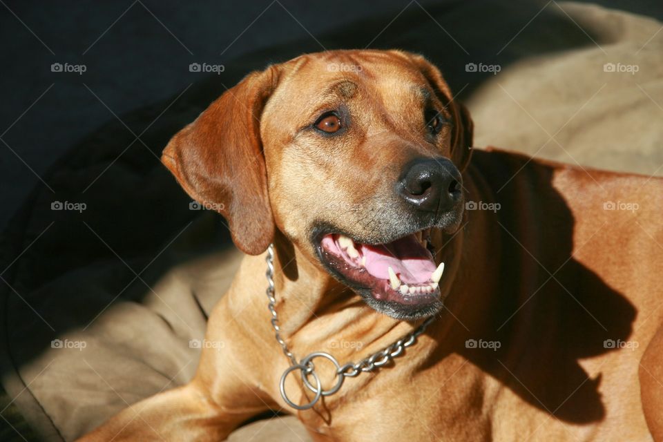 Smiling girl won't get up because she's a princess