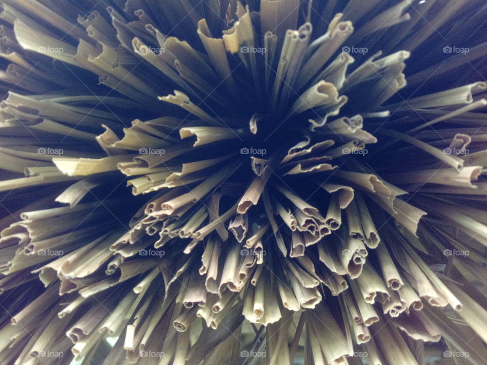 Grass-thatched roof from the tips