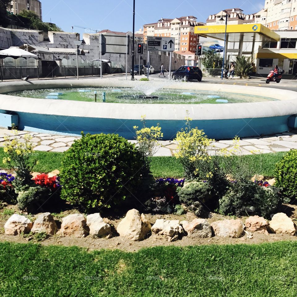 #wildflowers #flowers #fountain #summer 