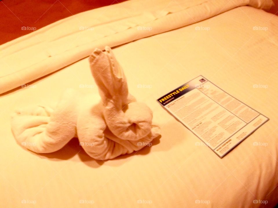 Little cute towel animal 