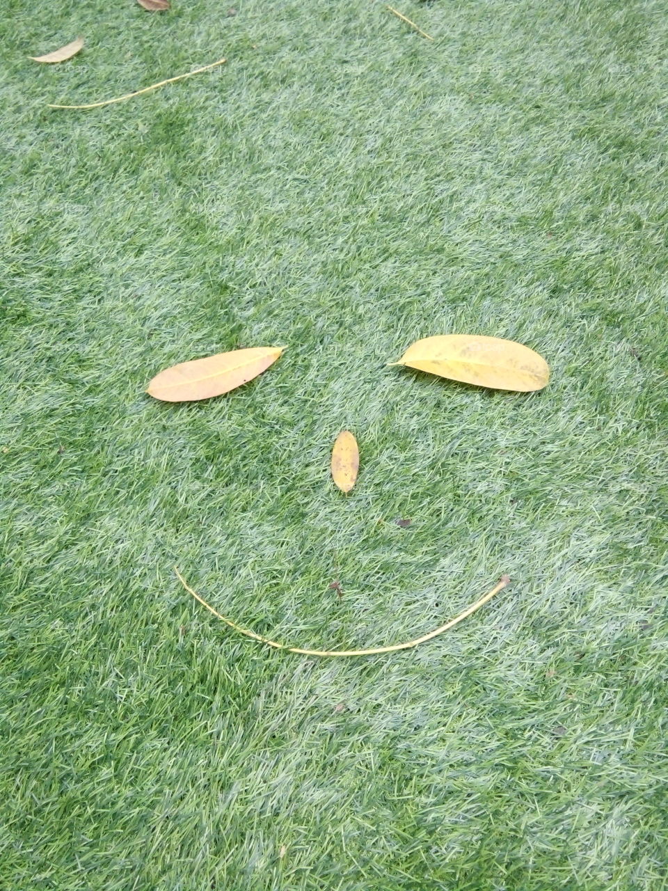 smiling ò leaves
