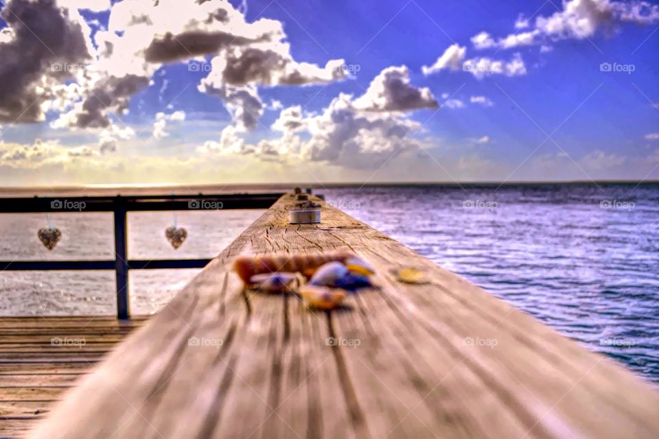 Holiday Dreaming. Shells on the Deck, Stradbroke Island, SE Queensland, Australia