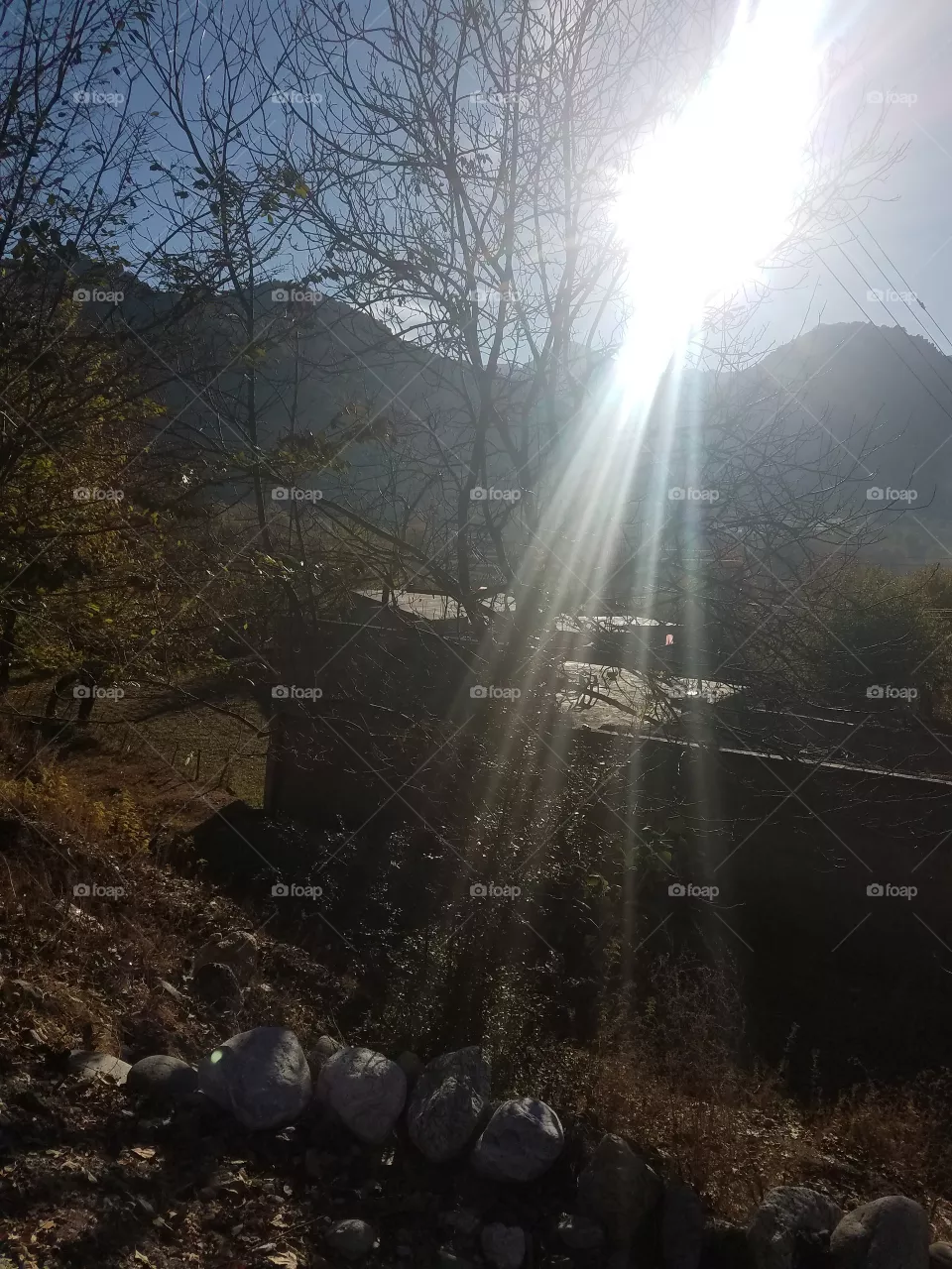 sunlight