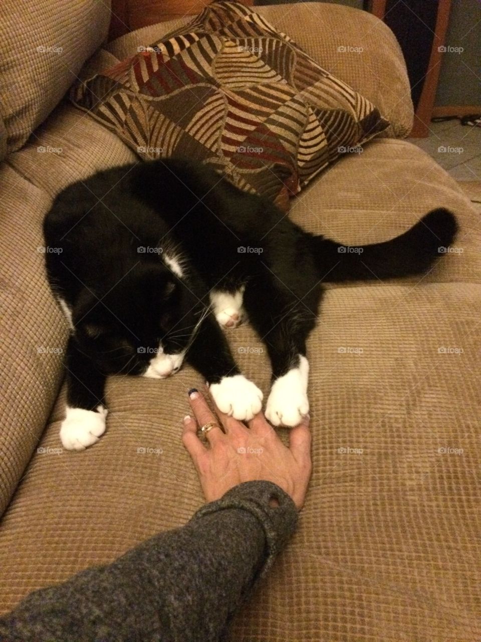 Holding Hands 