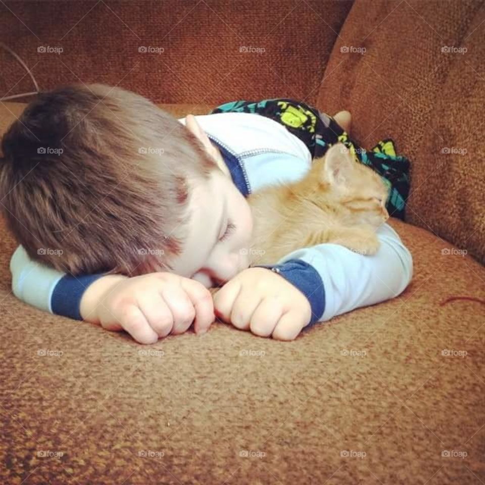 Boy and his Kitten