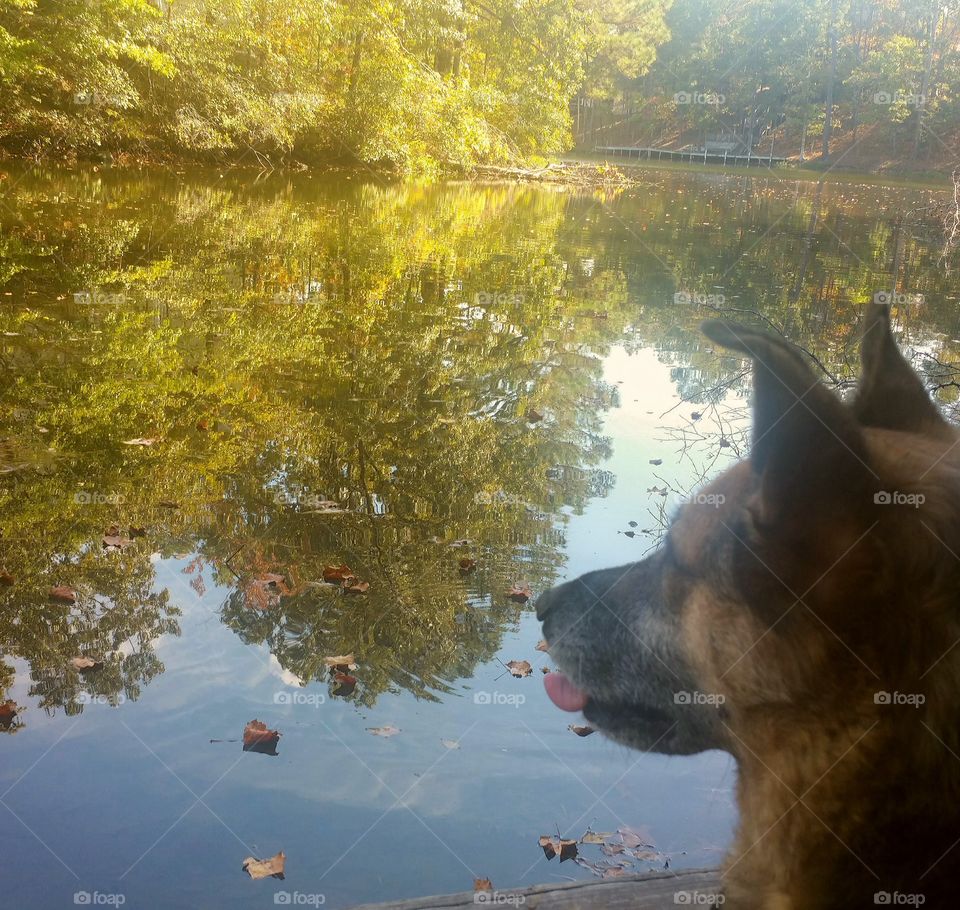 Dog Lake Reflections