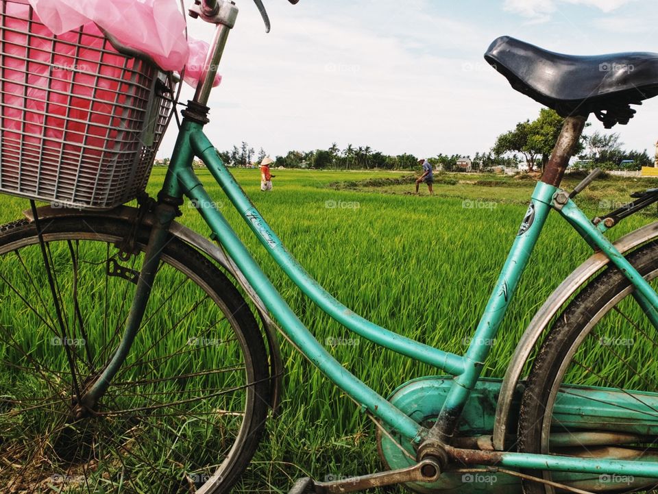 Bike in the fields