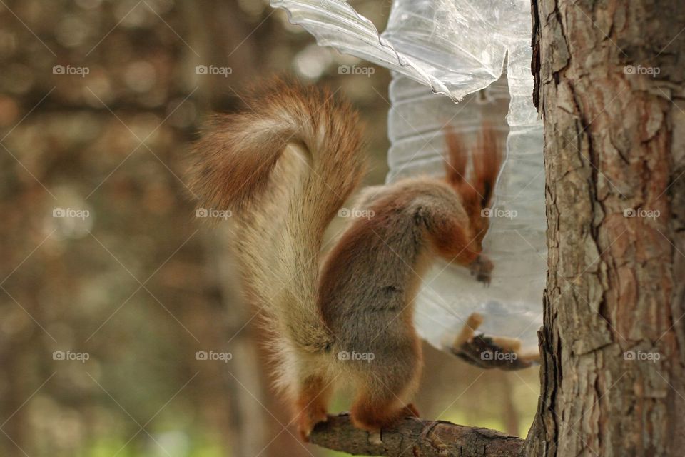 A cup of coffee stands on a wooden table in the kitchen