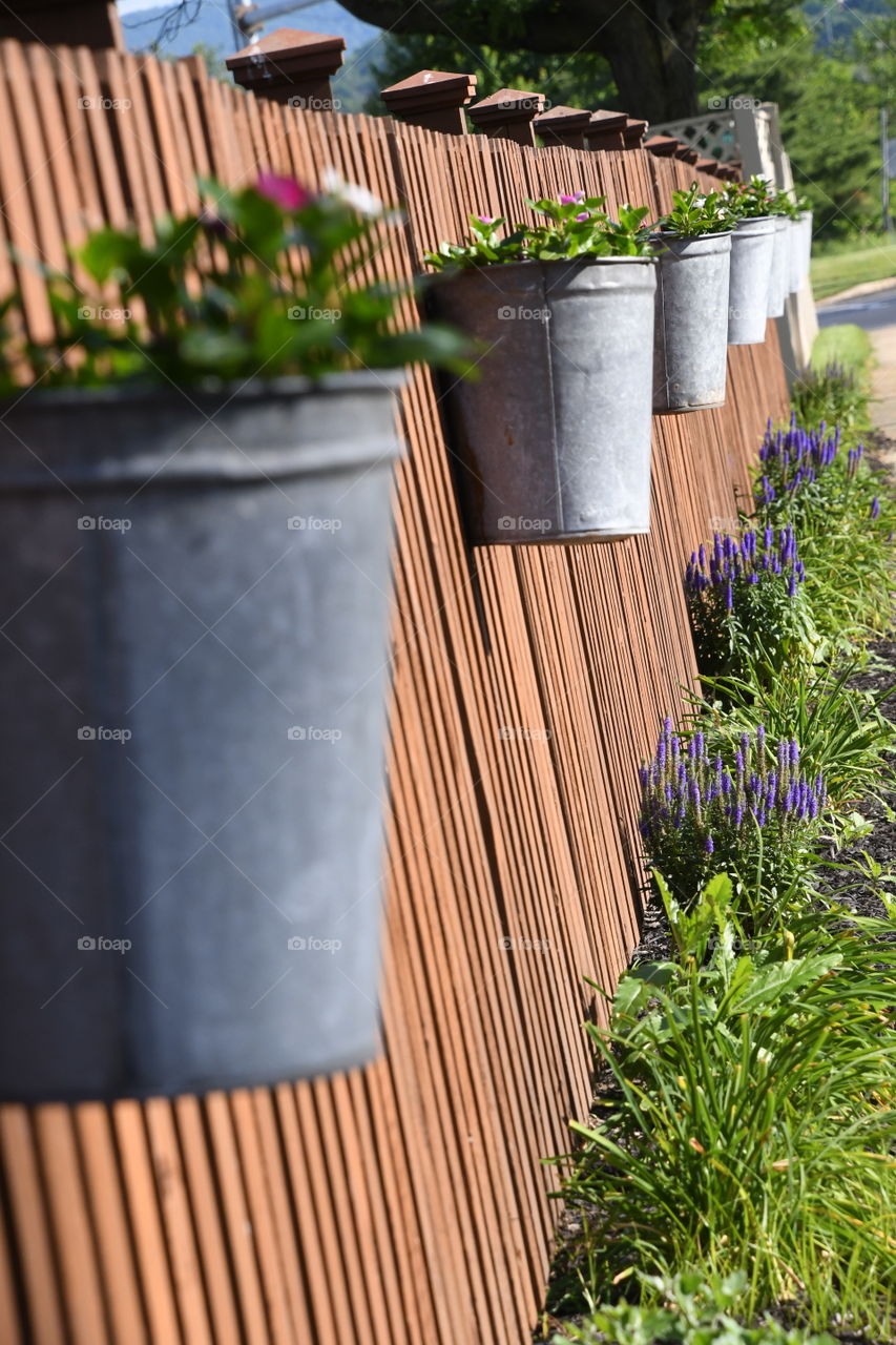 metal pots on fence with flowers