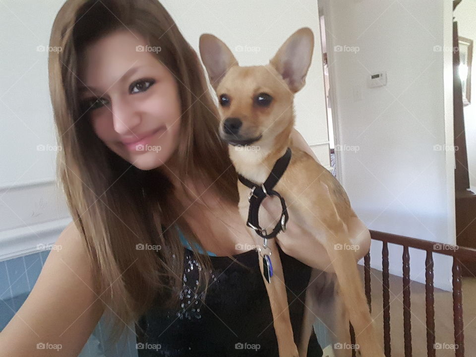 Portrait, Dog, One, Pet, Mammal