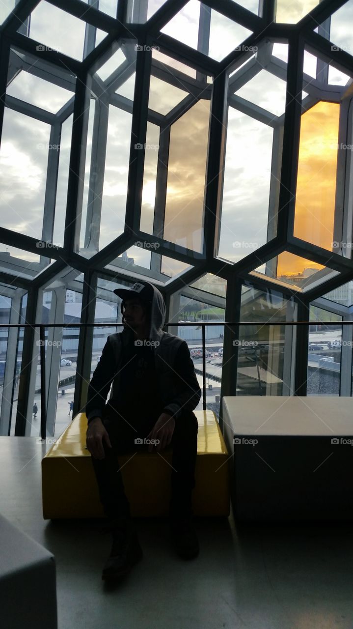 Portraits in Harpa Concert Hall