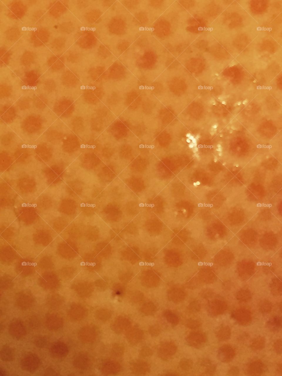 Close-up of Florida grapefruit texture.