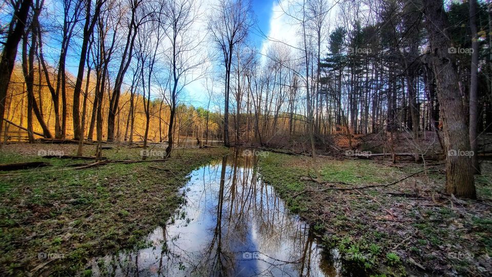 Walking through the woods at Clearfork Reservoir in the early spring. 