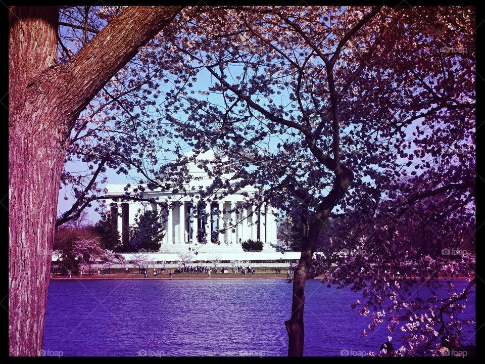 Tidal Basin-Thomas Jefferson Memorial