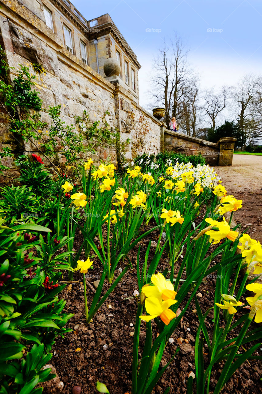 Garden. Stately home 