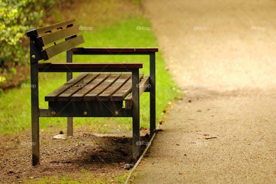 A bench in the park