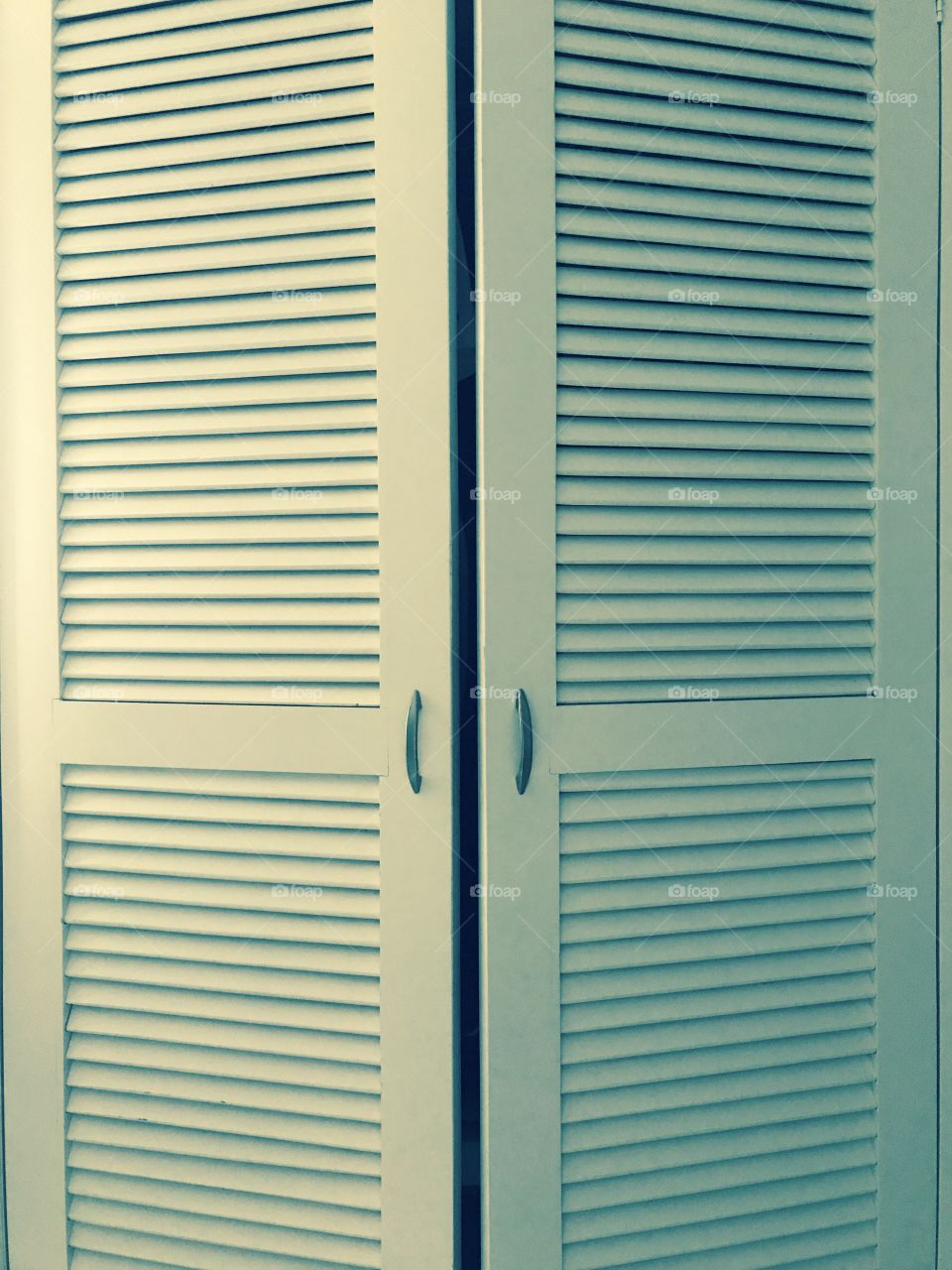 Open your mind! Let's discover what's inside