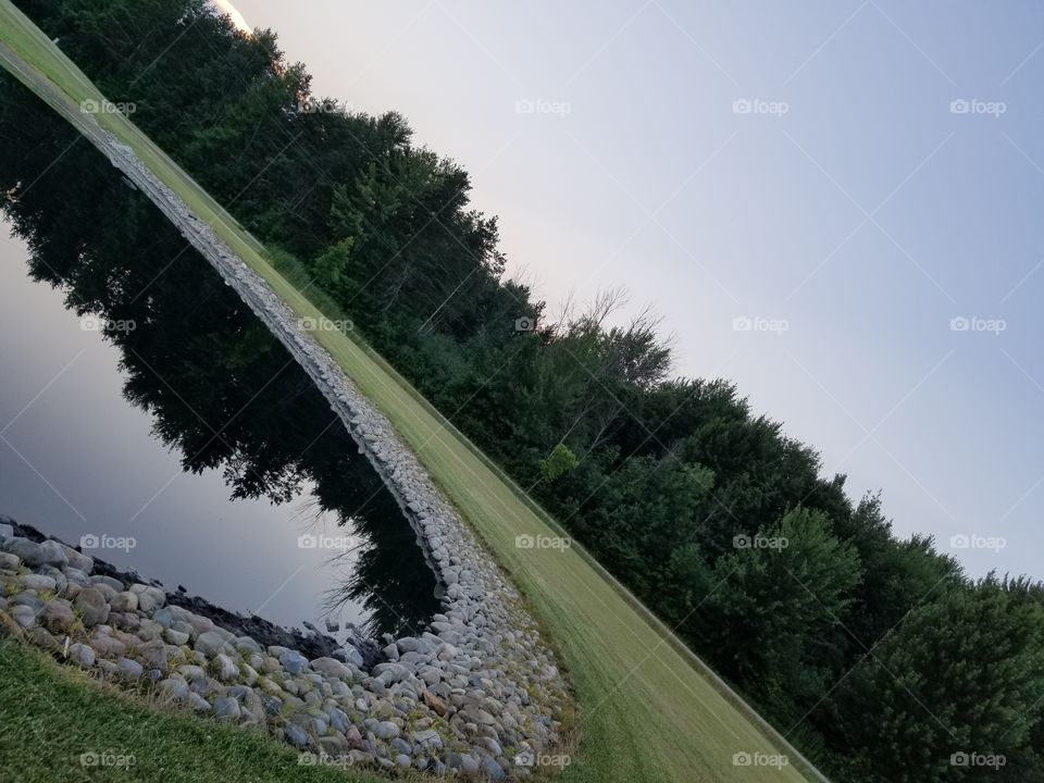 An unusual perspective on the edge of the pond