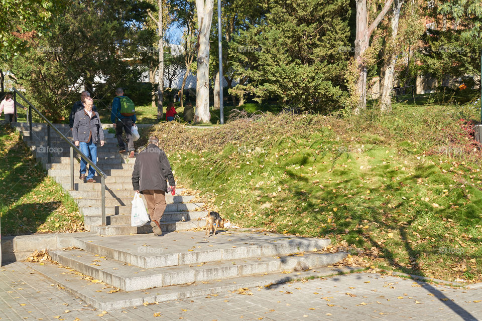 Elderly man going to the park to walk his dog