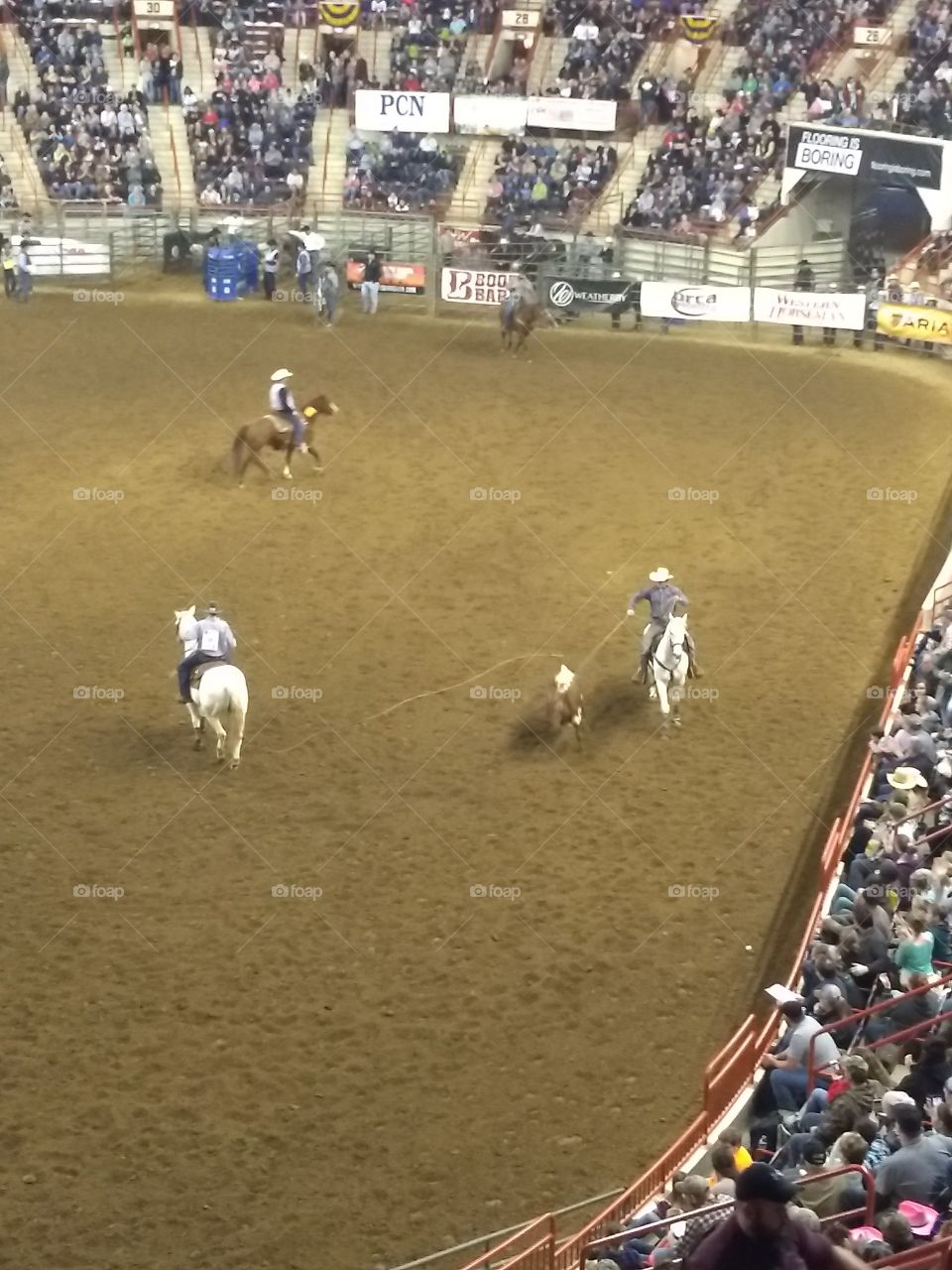 At the Rodeo!