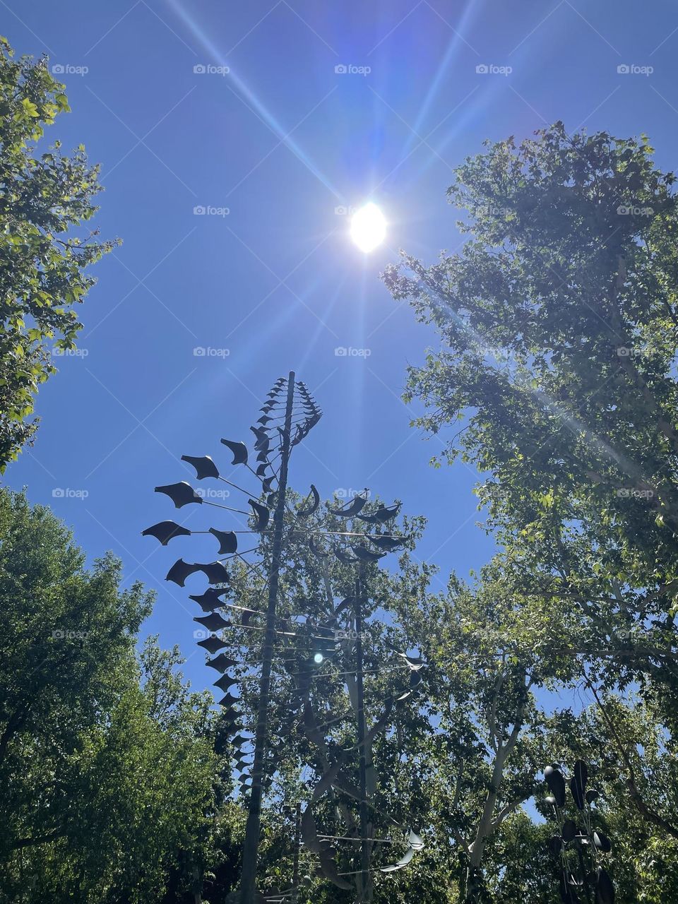 More than we know from above ⛅️