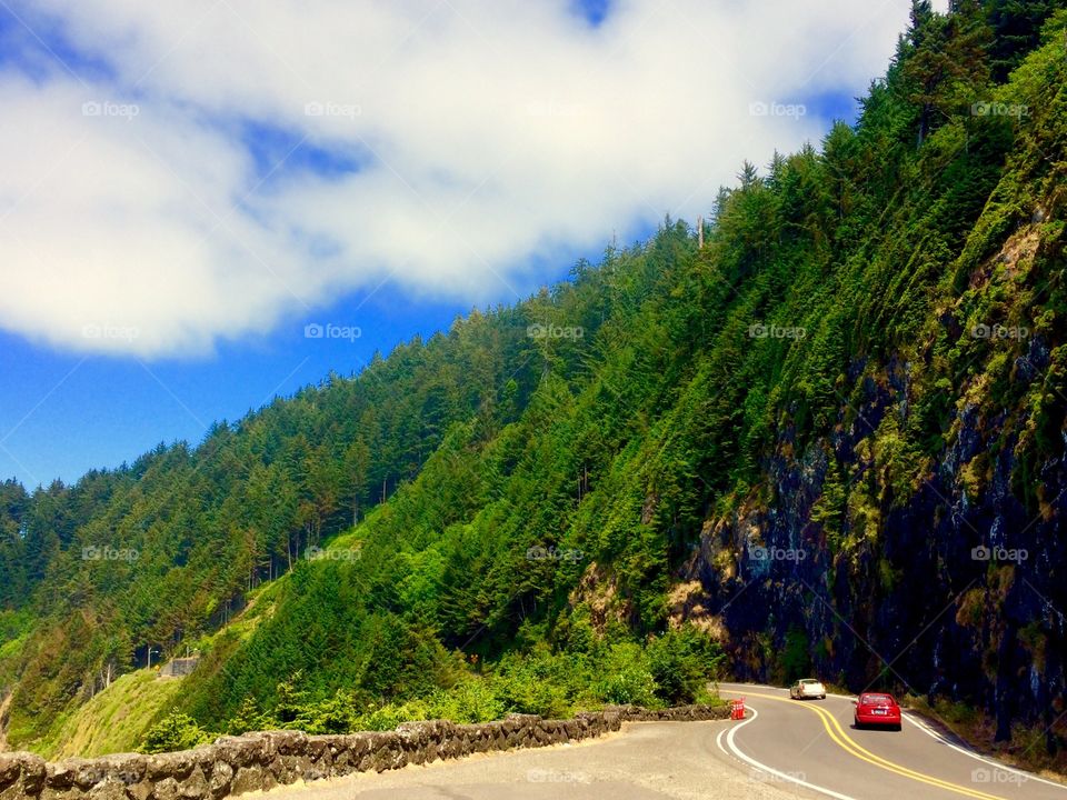 Oregon coastal road 